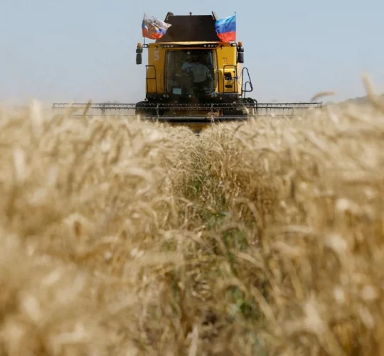Комбайн на окупованій Росією частині Луганської області України минулого року