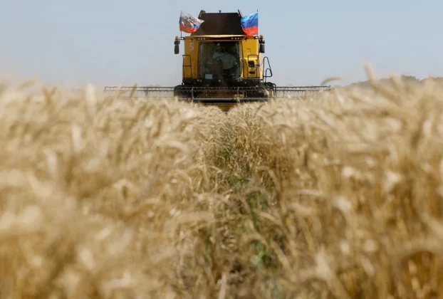 Комбайн на окупованій Росією частині Луганської області України минулого року