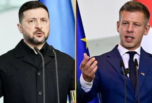 Володимир Зеленський та Петер Мадяр