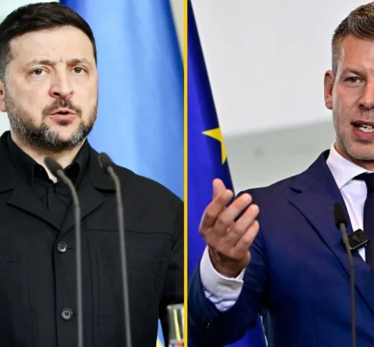 Володимир Зеленський та Петер Мадяр