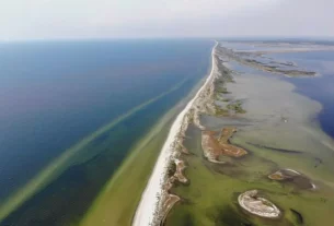 На початку війни у 2022 році Кінбернська коса вважалася одним із найважливіших стратегічних об’єктів в Україні