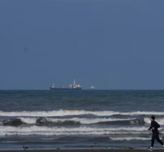 Узбережжя Каспійського моря в Бандар-Анзалі, Іран, наприкінці минулого року