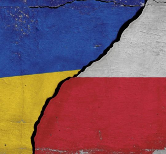 прапори України та Польщі ілюстрація