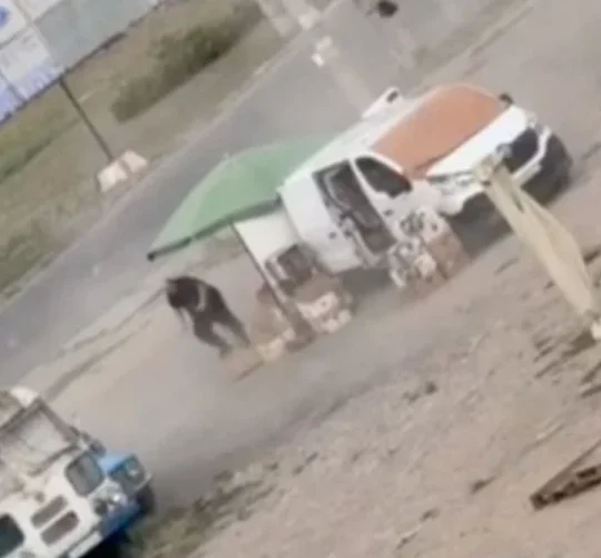 Скріншот з відео де російські безбілотники полюють на людину на базарі