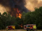 Пожежники в Лантоні, містечку на південному заході від Бордо, Франція, минулого тижня