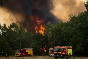 Пожежники в Лантоні, містечку на південному заході від Бордо, Франція, минулого тижня