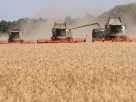 збір зерна на полях України