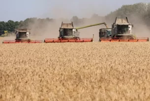 збір зерна на полях України