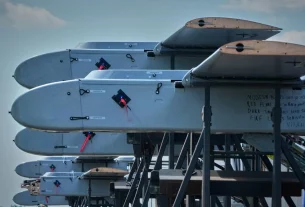 Українські дрони дальнього радіусу дії FP-1