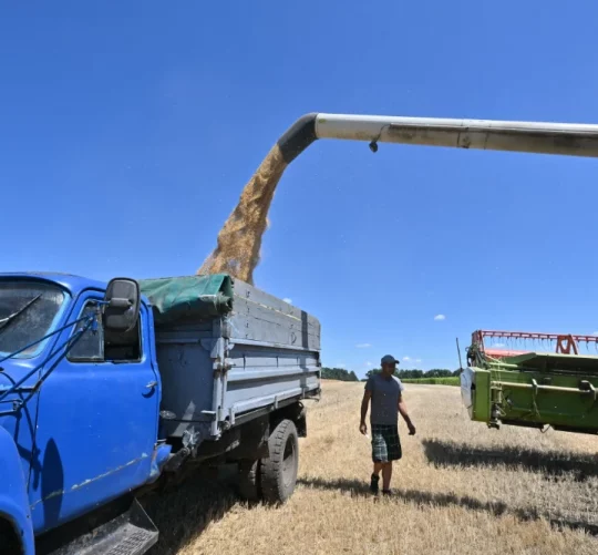Загрузка зібраного з поля зерна на вантажівку десь в Україні