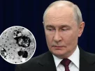 ілюстрація Володимир Путін