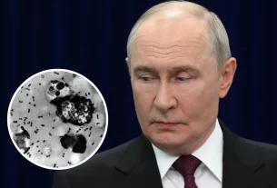 ілюстрація Володимир Путін