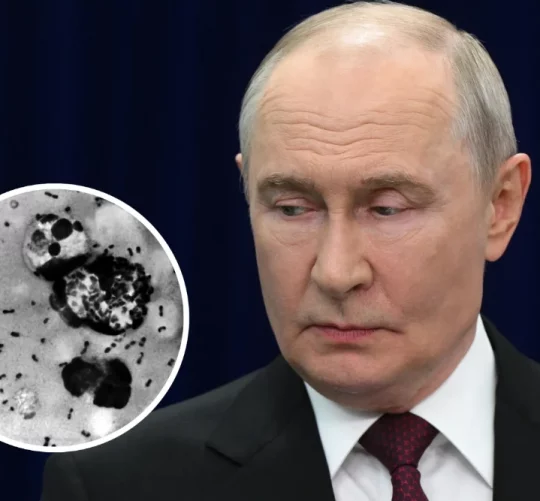ілюстрація Володимир Путін