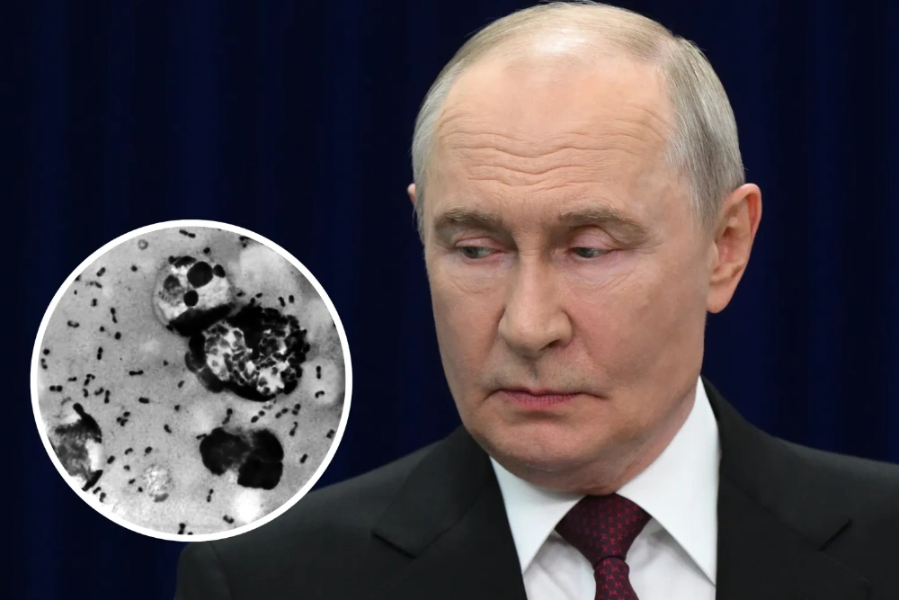 ілюстрація Володимир Путін